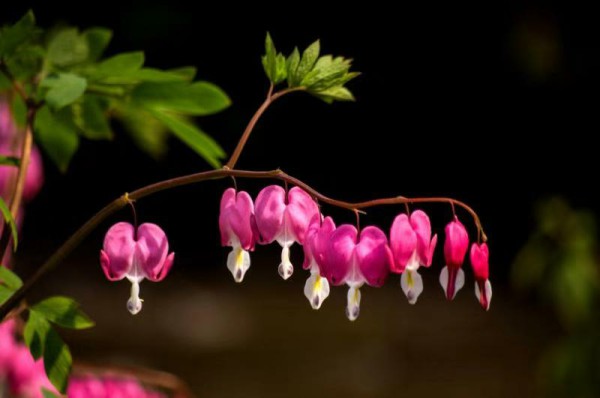 1二分公司 生機 單 晨 攝.jpg